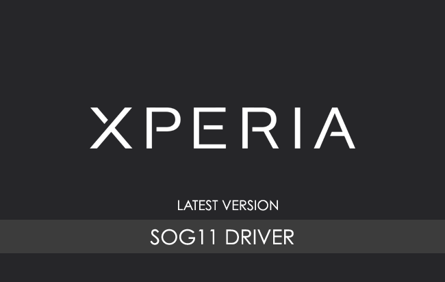 Sony Xperia 10 V SOG11