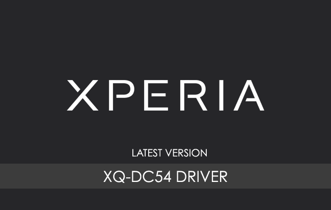 Sony Xperia 10 V XQ-DC54