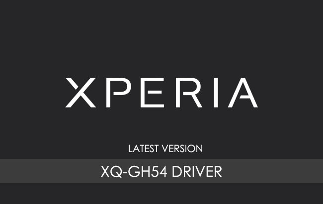 Sony Xperia 10 VIII XQ-GH54